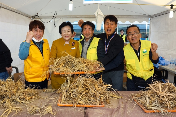 사진은 지난해 열린 인삼축제장면